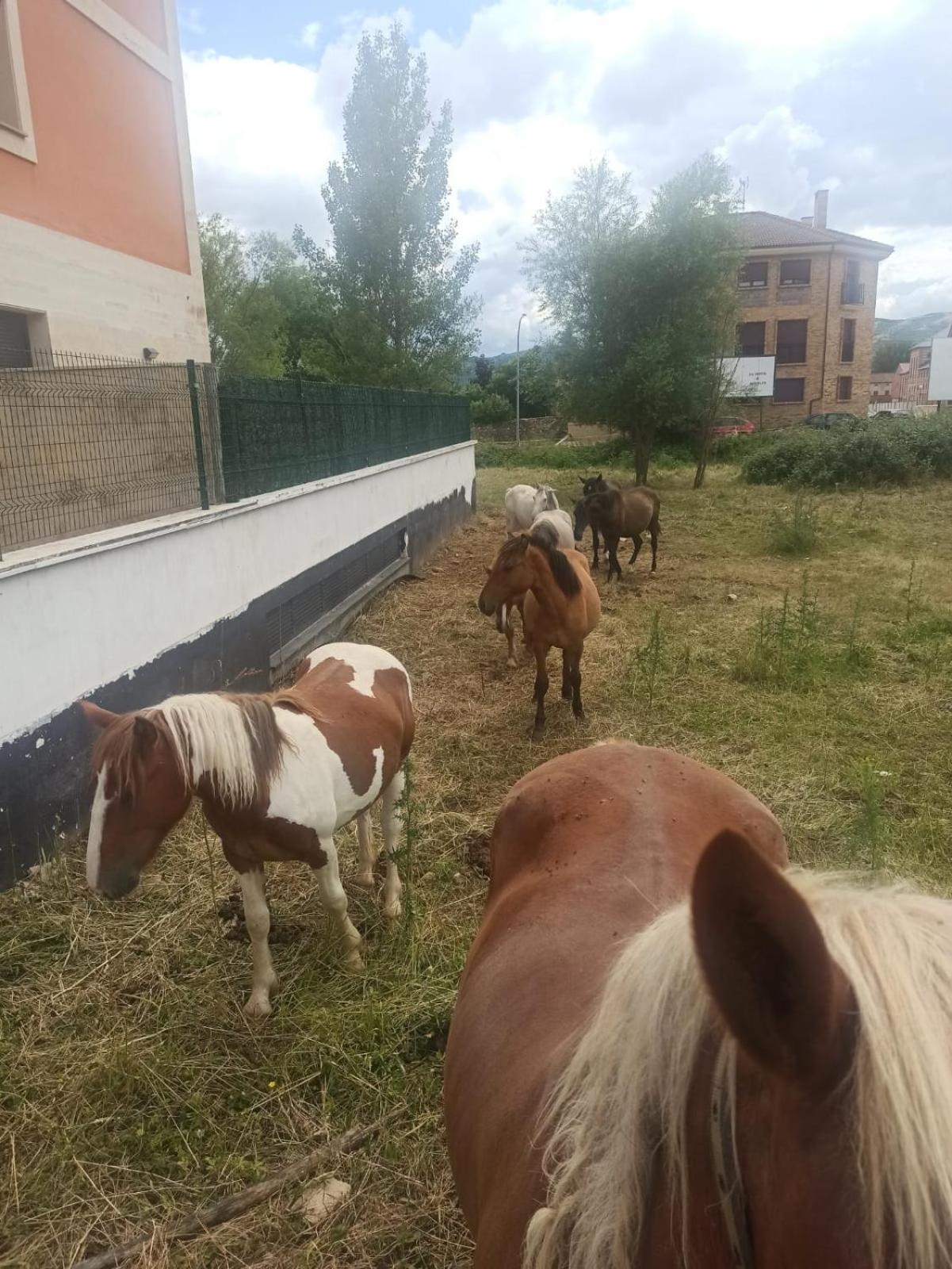 Alojamiento Fiordos Leoneses Bonar Extérieur photo